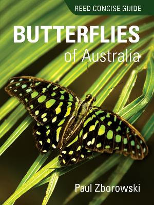 Reed Concise Guide: Butterflies of Australia : Reed Concise Guide - Paul Zborowski