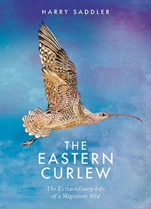 The Eastern Curlew : The Extraordinary Life of a Migratory Bird - Harry Saddler