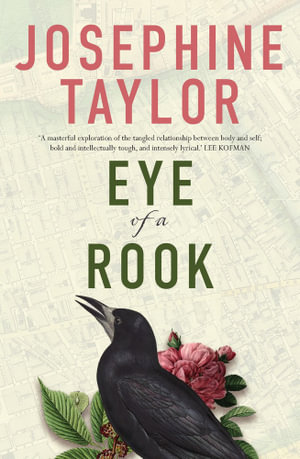 Eye of a Rook - Josephine Taylor