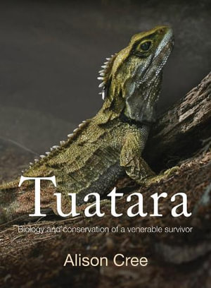 Tuatara - Alison Cree