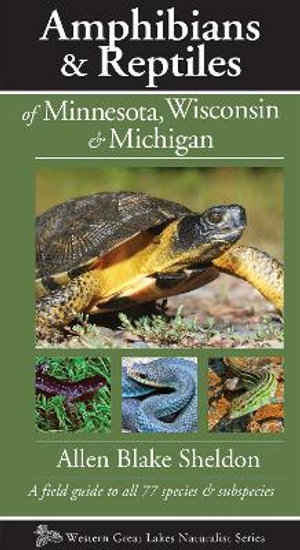 Amphibians & Reptiles of Minnesota, Wisconsin & Michigan : A Field Guide to All 77 Species & Subspecies - Allen Blake Sheldon