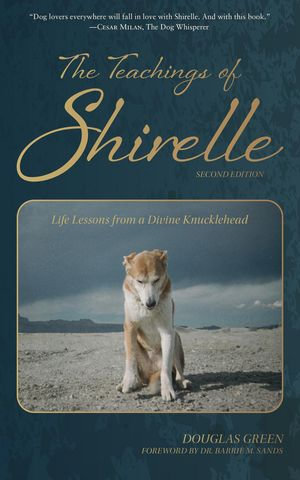 The Teachings of Shirelle : Life Lessons from a Divine Knucklehead - Douglas Green