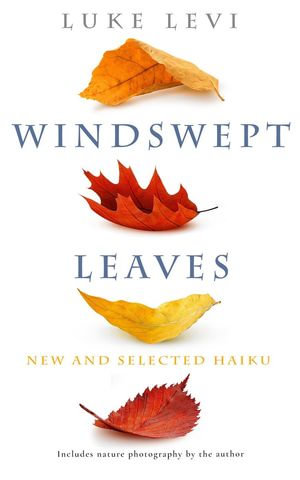 Windswept Leaves - Luke Levi