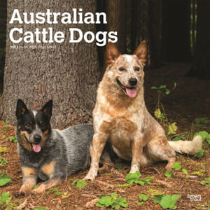 Australian Cattle Dogs - 2023 Wall Calendar - Browntrout