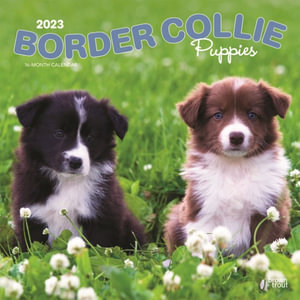 Border Collie Puppies - 2023 Wall Calendar : 2023 Wall Calendars - BrownTrout US