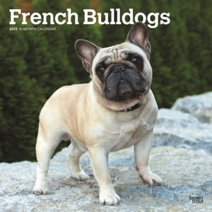 French Bulldogs - 2023 Wall Calendar - Browntrout