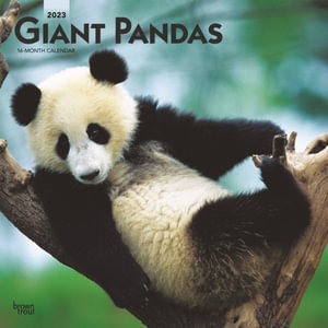 Giant Pandas - 2023 Wall Calendar - Browntrout