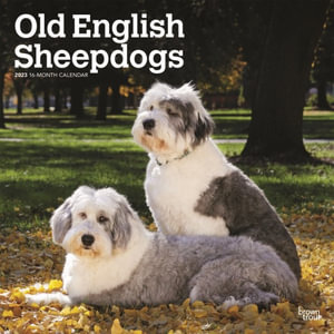 Old English Sheepdogs - 2023 Wall Calendar - Browntrout