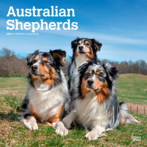 Australian Shepherds - 2024 Wall Calendar - Browntrout