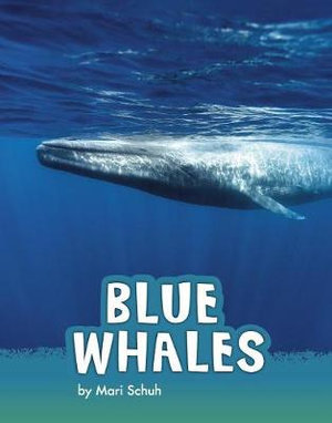 Blue Whales : Pebble Explore - Mari C. Schuh