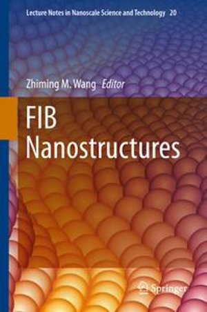 FIB Nanostructures : Lecture Notes in Nanoscale Science and Technology : Book 20 - Author