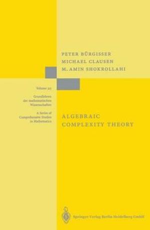 Algebraic Complexity Theory : Grundlehren Der Mathematischen Wissenschaften - T. Lickteig