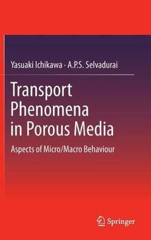 Transport Phenomena in Porous Media : Aspects of Micro/Macro Behaviour - Yasuaki Ichikawa