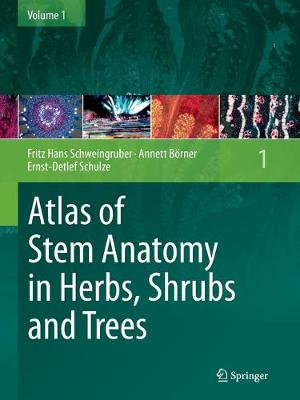 Atlas of Stem Anatomy in Herbs, Shrubs and Trees : Volume 1 - Fritz Hans Schweingruber