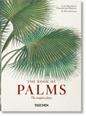 Martius. The Book of Palms : 40th Edition - H. Walter Lack