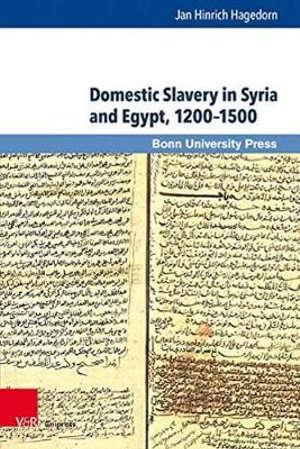 Domestic Slavery in Syria and Egypt, 12001500 : Mamluk Studies - Jan Hinrich Hagedorn