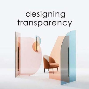 Designing Transparency - Agata Toromanoff