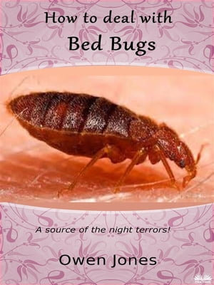 How To Deal With Bed Bugs : A Source Of The Night Terrors! - Owen Jones