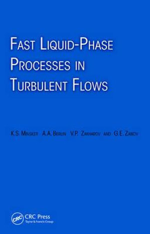 Fast Liquid-Phase Processes in Turbulent Flows - Karl Minsker