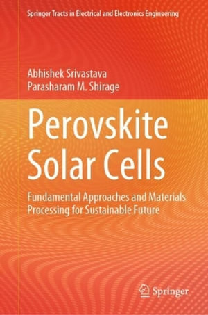 Perovskite Solar Cells : Fundamental Approaches and Materials Processing for Sustainable Future - Abhishek Srivastava