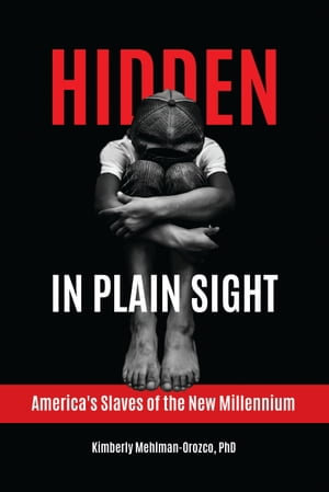 Hidden in Plain Sight : America's Slaves of the New Millennium - Kimberly Mehlman-Orozco