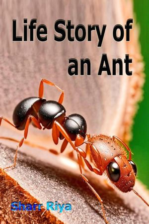 Life Story of an Ant - Sharr Riya