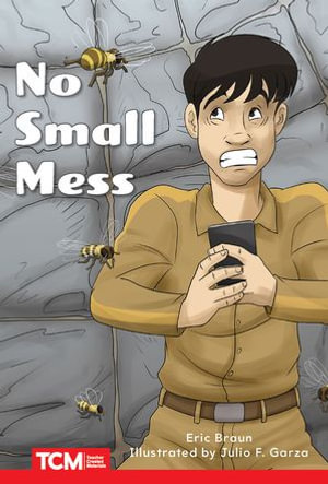 No Small Mess : Level 1: Book 7 - Eric Braun