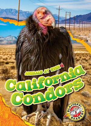 California Condors : Animals at Risk - Rachel Grack