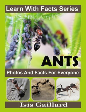 Ant Photos and Facts for Everyone : Learn With Facts Series, #133 - Isis Gaillard